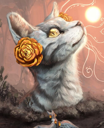 Warrior cats